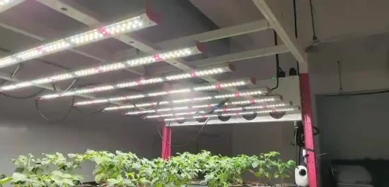 35/40W Full Spectrum Dimmable Waterproof LED Grow Light for Spider Farmer Greenhouse and Vertical Farms